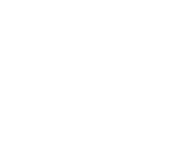 Estructurando Grupo RSI